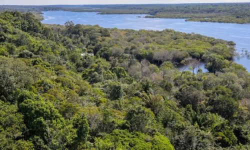 Aleluia: Desmatamento na Amazônia é o menor em 10 anos